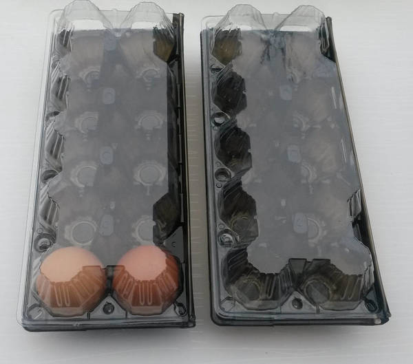 Фото Упаковка для яйца 10-ти гнезд ПЭТ черн.низ/прозр.верх