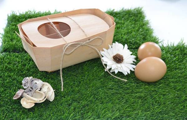 Фото Эко-упаковка из дерева для яиц на 10 ячеек (250*100*70 мм