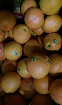 Фото Грейпфруты и другие фрукты