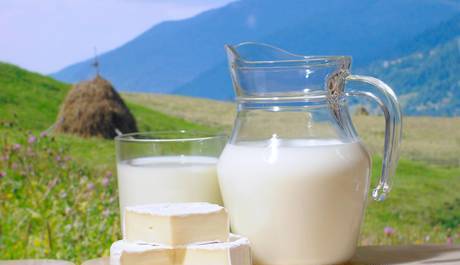 Фото Сырое коровье молоко