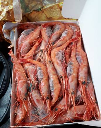 Фото Креветка северная сыро-морож, сырая (raw frozen shrimp)