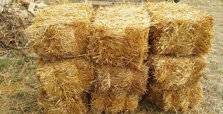 Фото Солома пшеницы в тюках(брикетах). Краснодар
