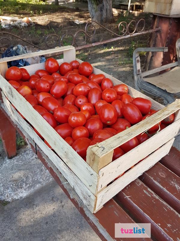 Фото ящики и лотки шпоновые для помидор