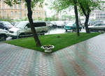 фото Рулонный газон "Эконом Городской"