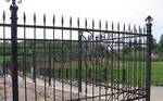 фото Кованые ограда и заборы