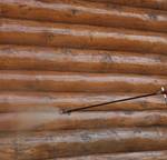 фото Покраска стен в деревянном доме