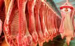 фото Мясо купить цена фермы Свинина
