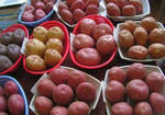 Фото №2 Картофель семенной/продовольственный