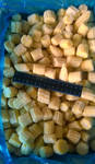фото Кукуруза початок-мини быстрозамороженная (резанная), Китай