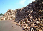 фото Продам дрова