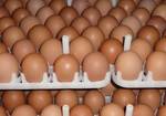 фото Коричневые куриные яйца
