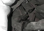 фото Древесный уголь для шашлыка оптом