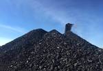 фото Уголь: рядовой, орех, ДПК от производителя