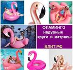 фото Надувные матрасы, круги для плавания Фламинго оптом