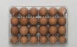 фото Упаковка на 24 яйца