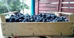 фото Ящики деревянные шпоновые в Крыму