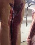 фото Мясо свинина в полутушах