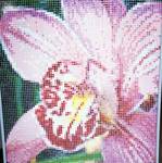 фото Панно из стеклянной мозаики "Орхидея"