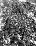 фото Уголь каменный марки Д , Т и бурый уголь 2Б из Кузбасса.