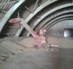 фото Хозяйство реализует пшеницу 3 класса 250 тонн