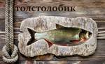 фото Живая рыба Толстолобик