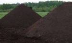 фото Земля Чернозём Почва плодородный слой.Грунт с доставкой