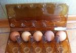 фото Упаковка на 10 яиц коричневая пэт прозрачная