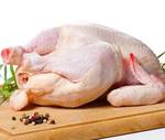 фото Продажа курицы и мяса цыплят бройлера