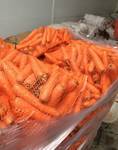 фото Морковь свежая урожай 2017. Мытая