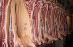 фото Мясо полтуши свинина