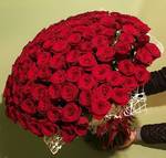 фото 101 роза в Липецке за 6000 руб