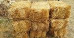 фото Солома пшеницы в тюках(брикетах). Краснодар