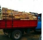 Фото №3 Сухие дрова (Колотые чурками) сосна, лествяк береза осина