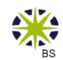 Лого Бизнес сервис