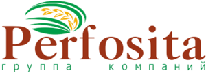 Лого ПерфоСита