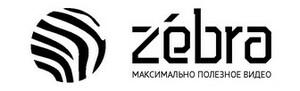 Лого Zebravideo