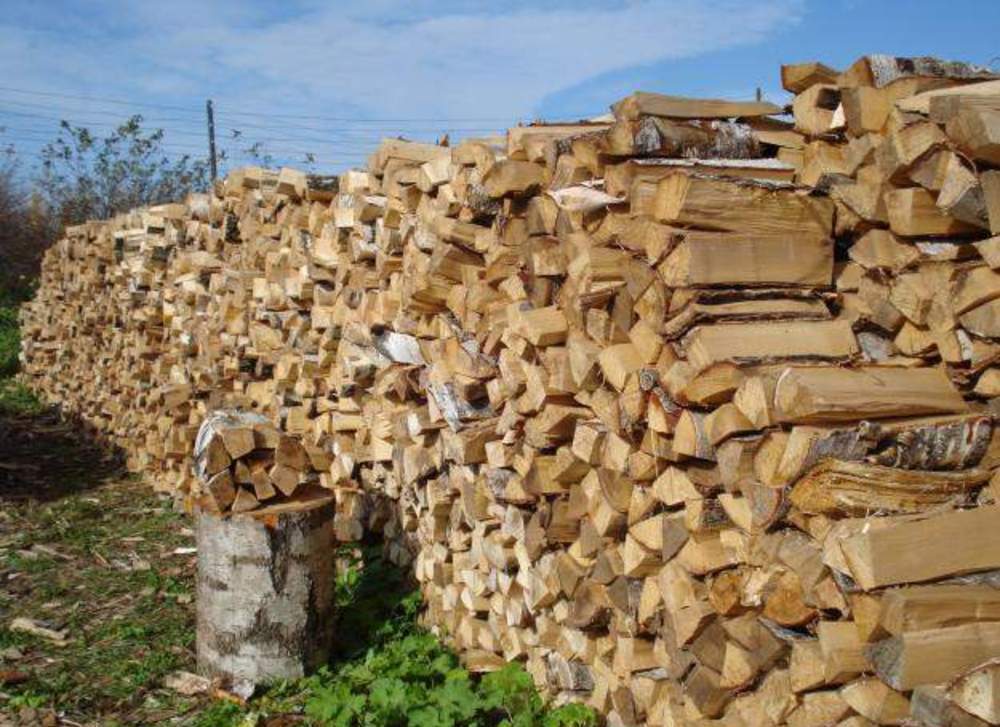 Купить дрова в новосибирске с доставкой. Березовые дрова. Сухие березовые дрова. Дрова береза. Березовое полено.