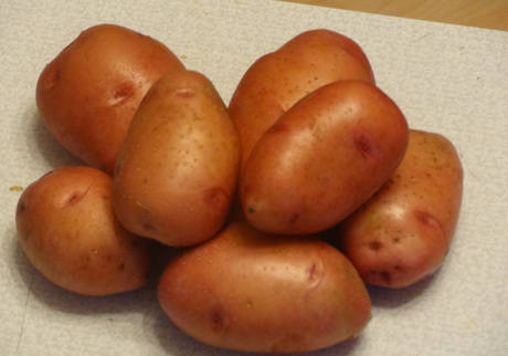 Картофель семенной купить в Екатеринбурге, цена 15 руб. от Агро Исеть —объявление №574417 на Тузлист