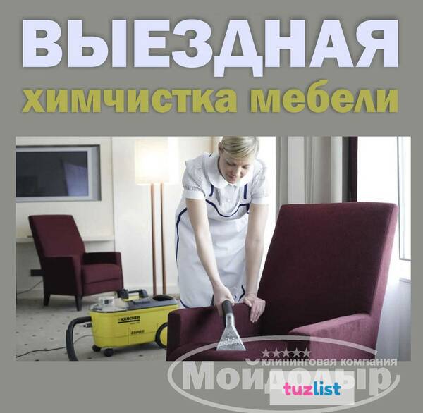 Фото Выездная химчистка мебели