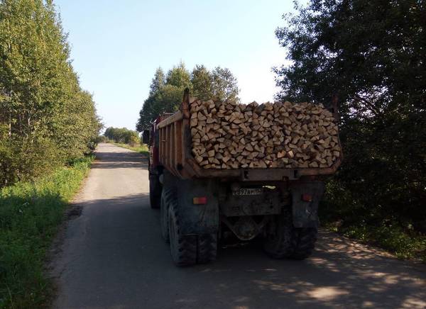 Фото Дрова березовые