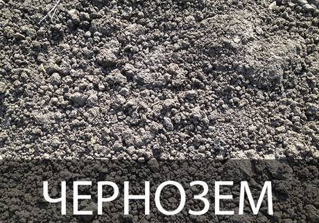 Фото Чернозем, плодородный грунт с доставкой по Краснодару и краю