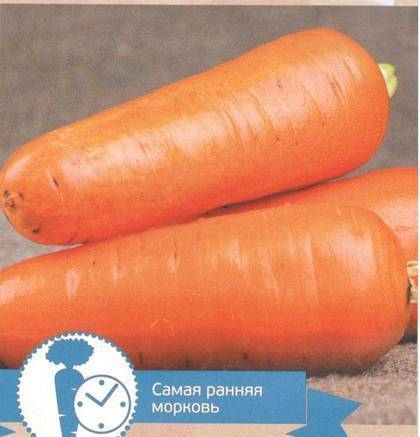 Фото Семена моркови Абако F1 1,6-1,8 mm (1 млн. с)