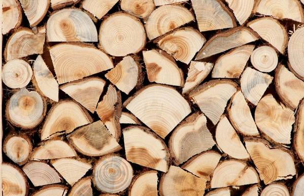 Фото Березовые колотые дрова