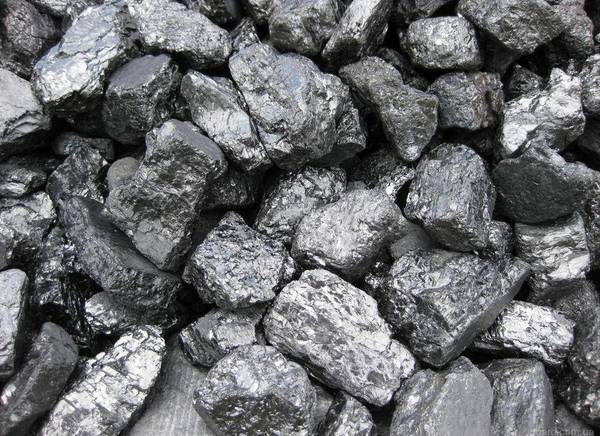 Фото Уголь, твёрдое топливо( каменный, орех).