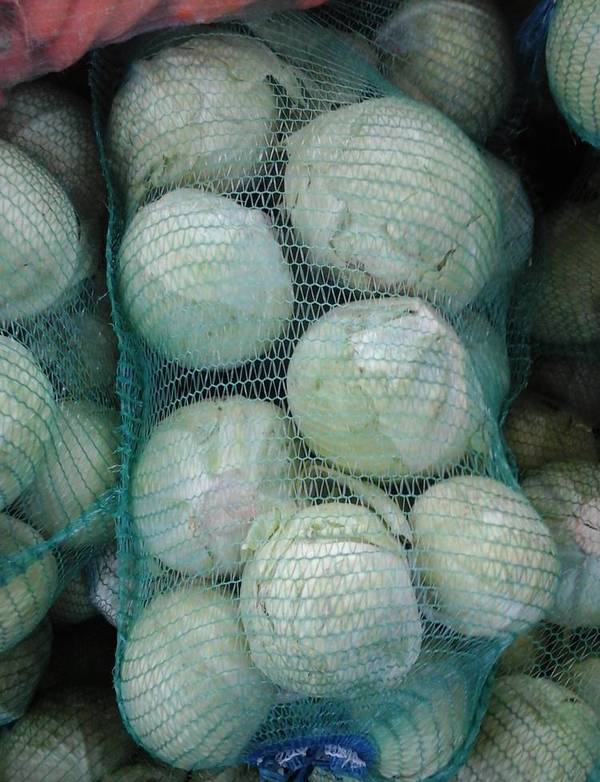 Фото Оптовые поставки капусты. Низкие цены.