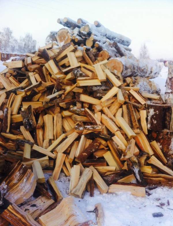 Фото Сухие дрова сосна береза
