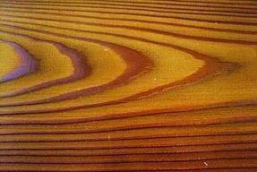 Фото Мореная лиственница, деловой лес
