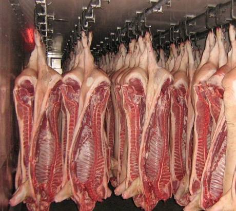 Фото Мясо свинины 3 категории