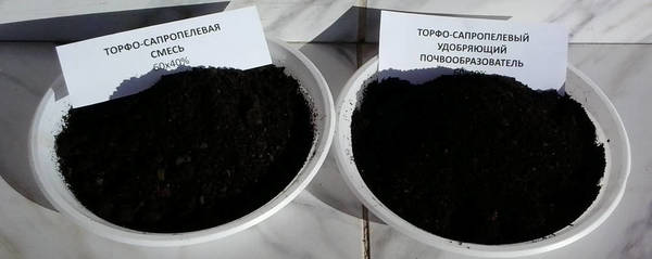 Фото Торфо-сапропелевый почвообразователь для озеленения Астаны