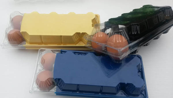 Фото Упаковка для яйца 10-ти гнезд ПЭТ матовый/прозрачный